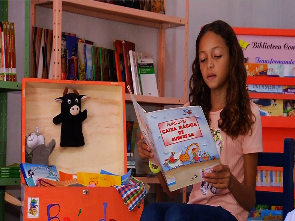 Seis estados não atingem metas de alfabetização na idade certa; veja quais são