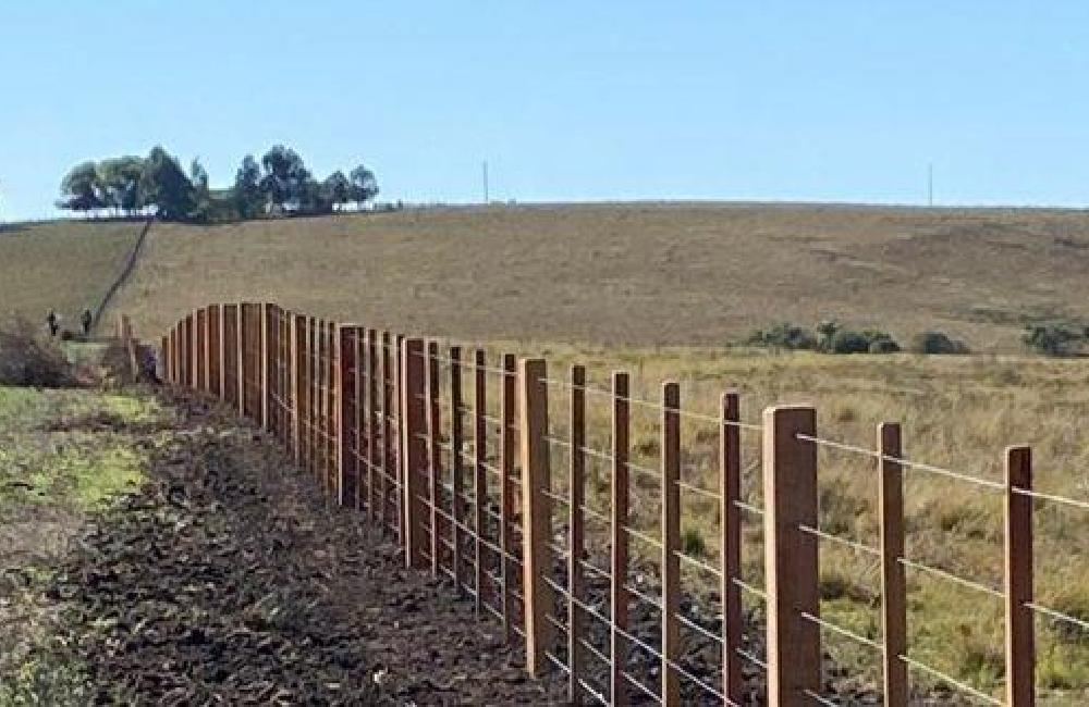 Arrendatário despejado perde direito de retenção por benfeitorias